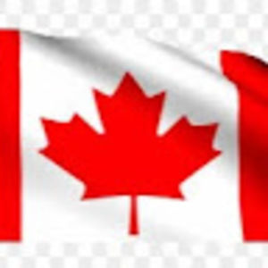 Meet your Posher, Frankie